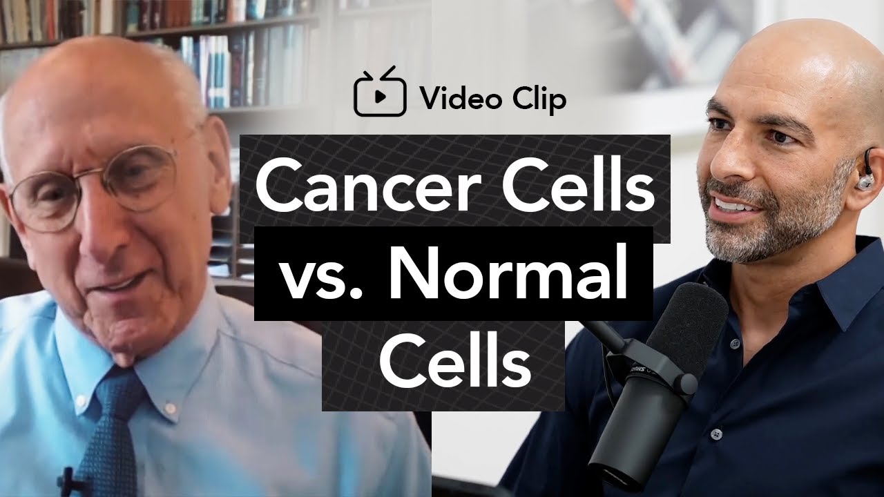 How cancer cells are different from normal cells | Peter Attia, M.D. & Steven Rosenberg, M.D., Ph.D.