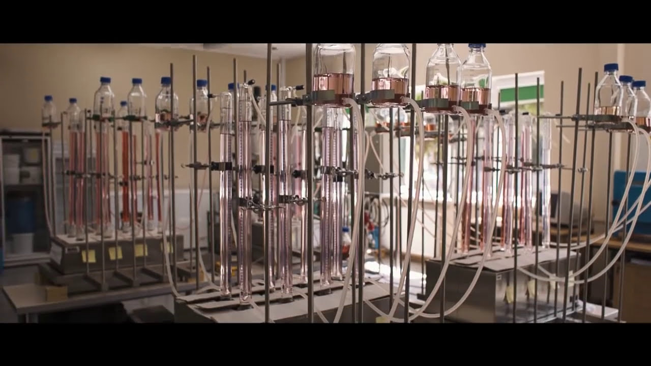 Film promocyjny 2013 | Uniwersytet Przyrodniczy we Wrocławiu | #UPWR