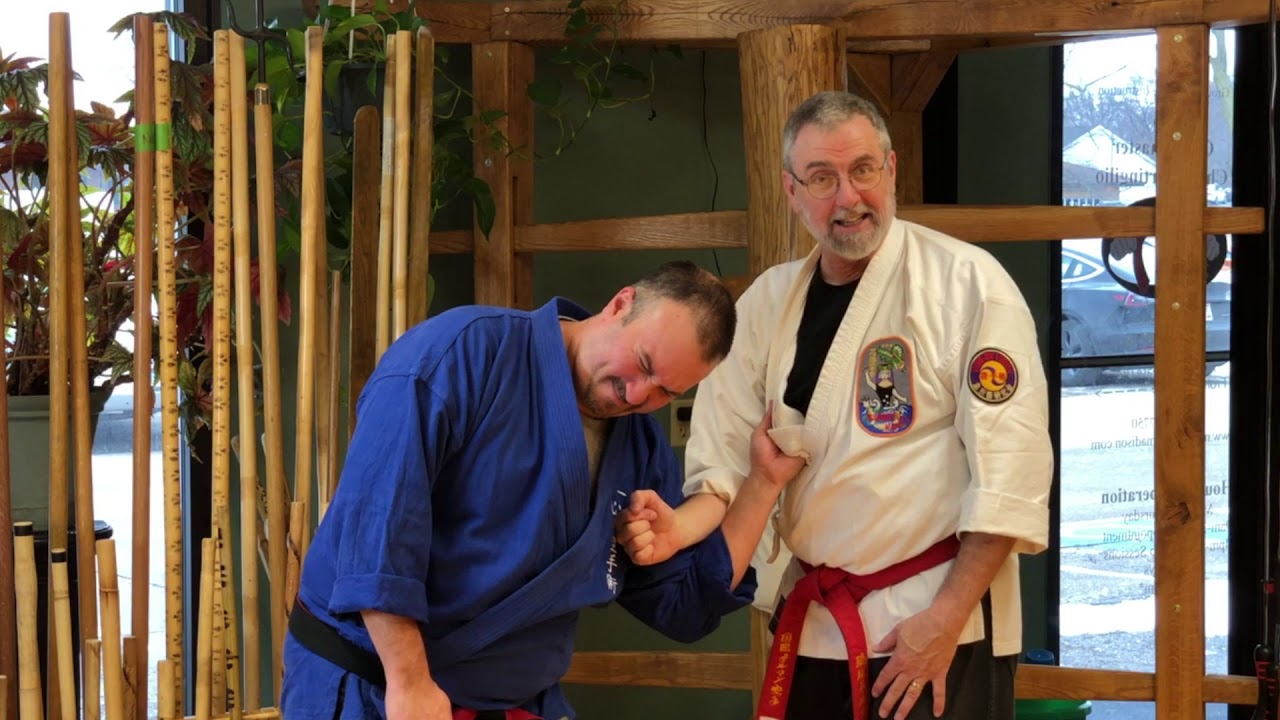 87 Reflections   Insight into Isshinryu