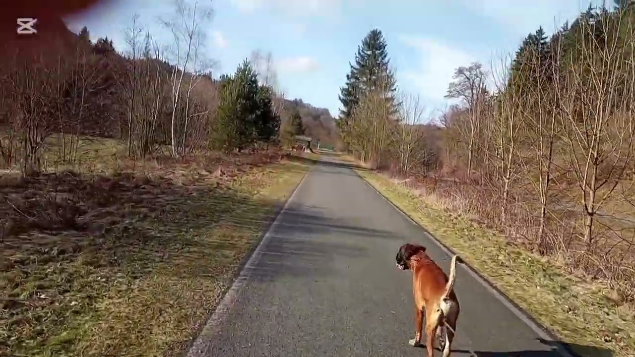 Zábřeh na Moravě a jeho okolí 