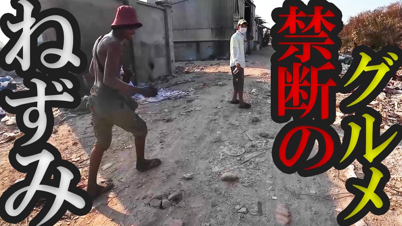 ドブねずみハンターをさがして【カンボジア追憶紀行】