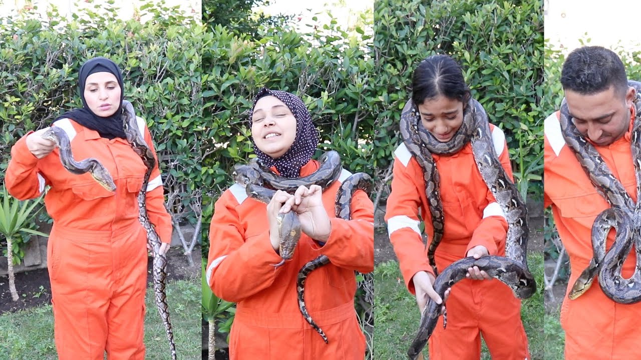 اخر شخص يترك الثعبان 🐍 هيكسب ال20 الف جنية والعقاب 😱