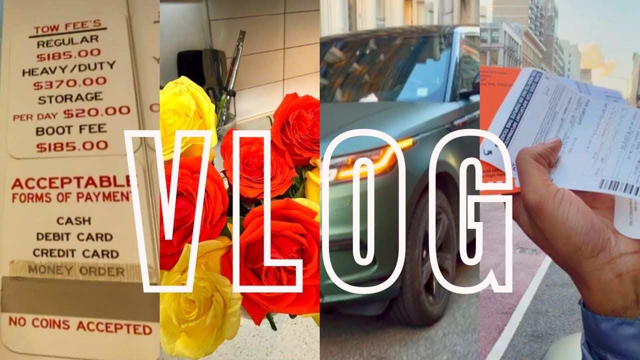 FAKE VLOGMAS PART 2: NYPD RUINED OUR BACKSEAT FREAKY TIME! 