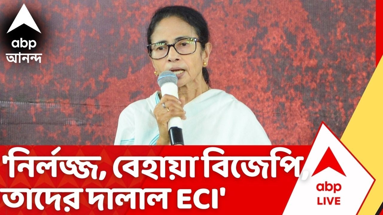 Mamata Banerjee: 'নির্লজ্জ, বেহায়া বিজেপি, তাদের দালাল নির্বাচন কমিশন', তীব্র আক্রমণ মমতার | ABP