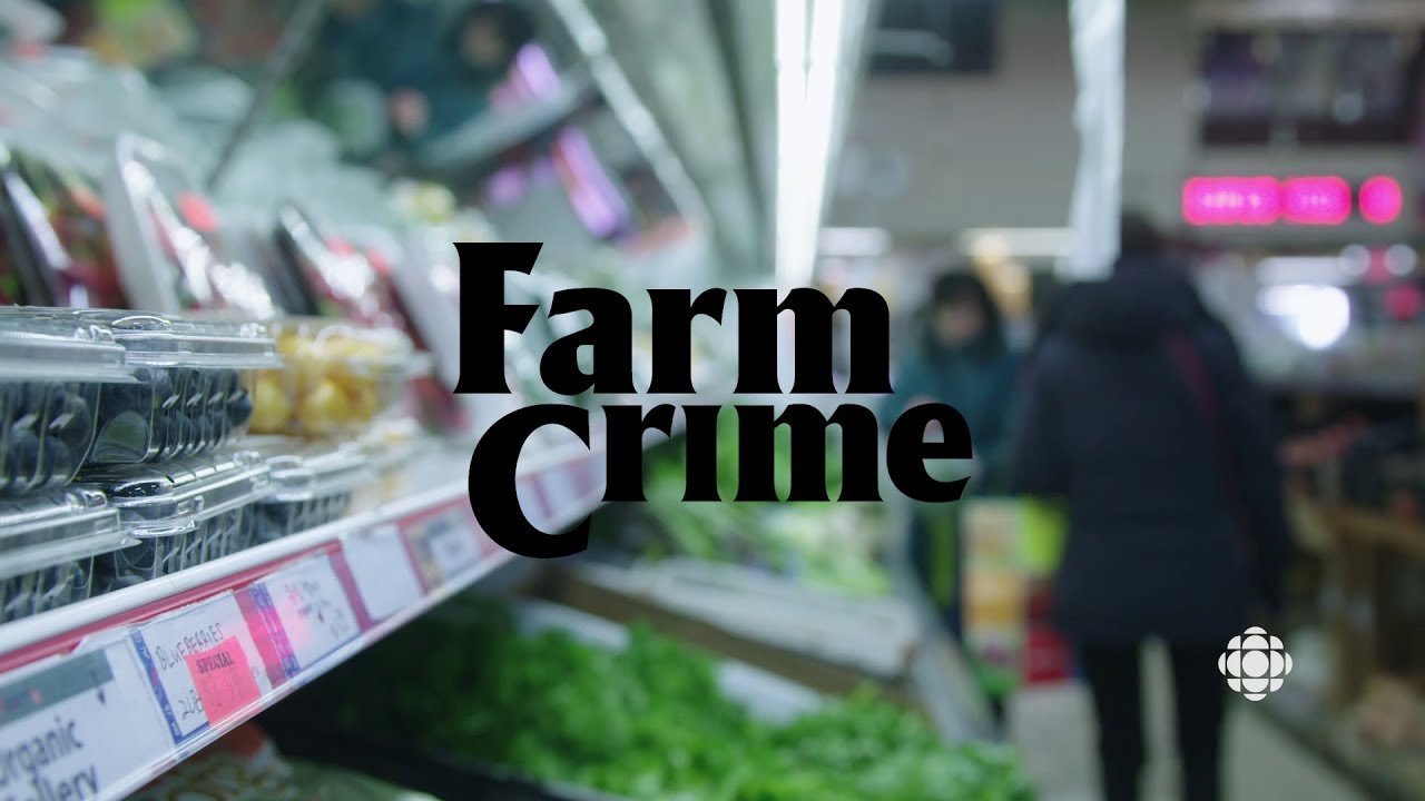 Farm Crime (2018) | Ep. 6: #BlueberryBandit | Trailer