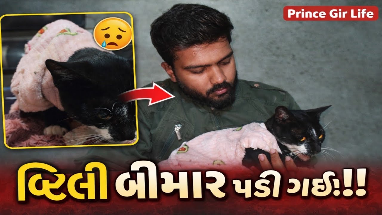 બિલ્લુ બીમાર પડી ગયું 😿 - બિલ્લુની સંભાળ અને અપડેટ 💊🐱 @Prince_Parmar_06 