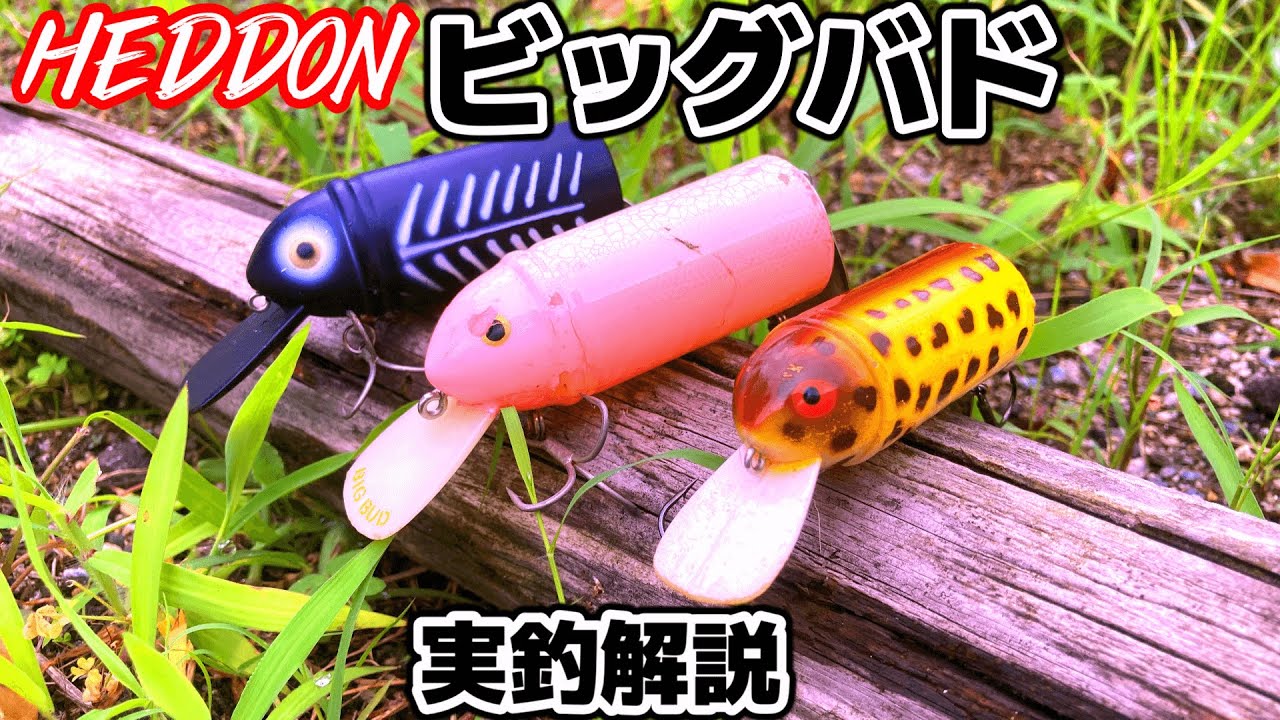 タダ巻き優秀な超名作！このヘンテコなルアーでバスを釣れるのか？！ビッグバドの効果的な使い方はこれか！【バス釣り】【プラドコ】【釣り初心者】