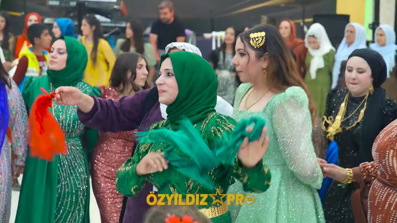 19.10.2024 Çelik Ailesi Çiftimize Mutluluklar Dileriz #shotrs #dugunumuzvar #düğün #dugunfotografcis