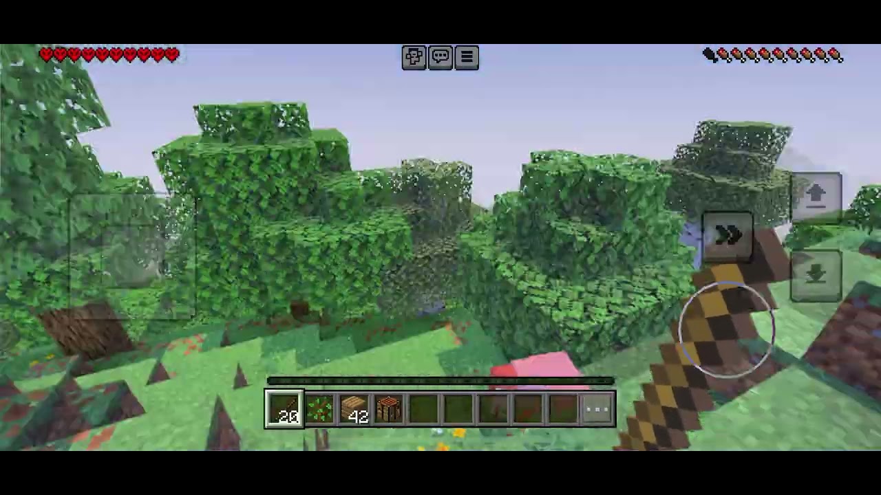 My first Minecraft video