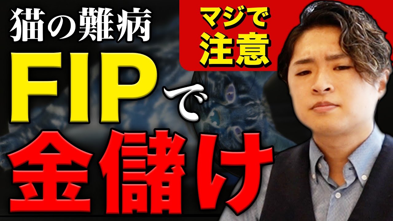 【99％の人が知らない…】猫の難病「FIP治療」の裏側がこちら。 #令和の虎 #出演 #獣医さん
