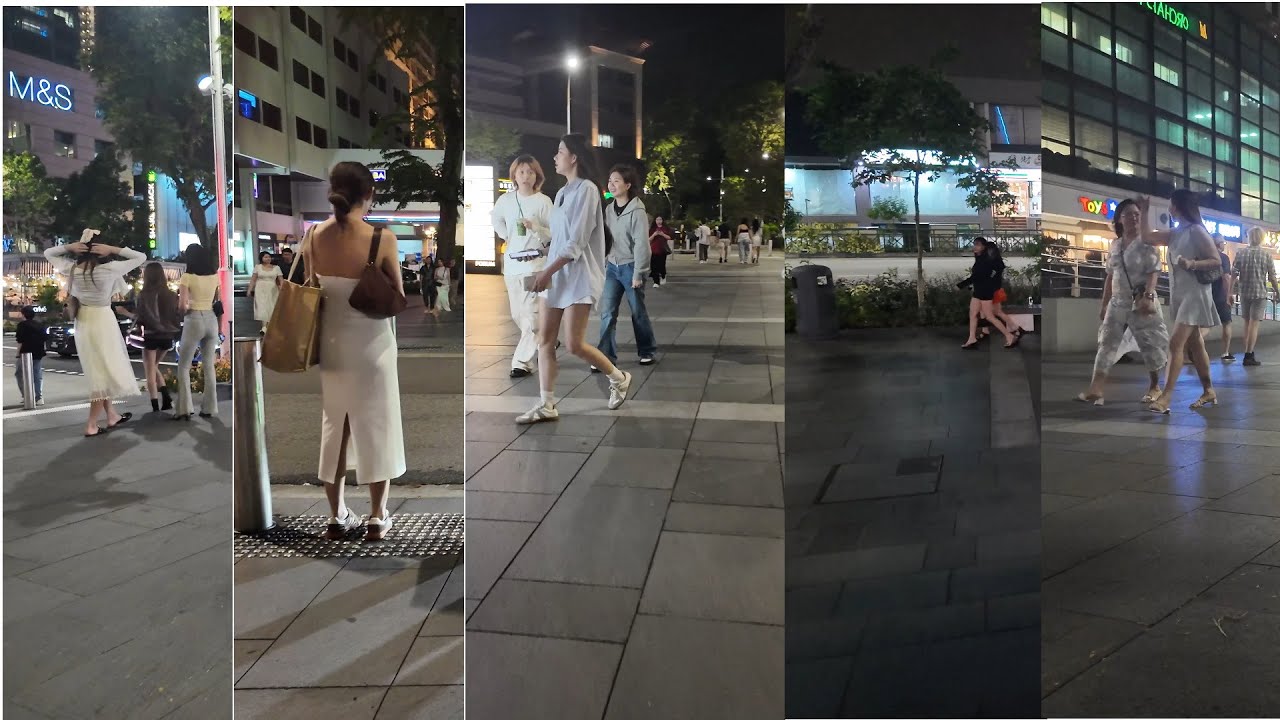 What is so special about Orchard Tower? - Day 1 Tour