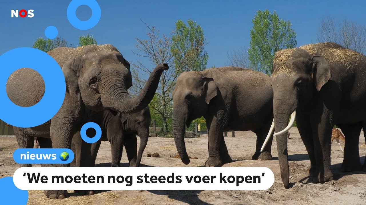 Extra geld voor dierentuinen in nood