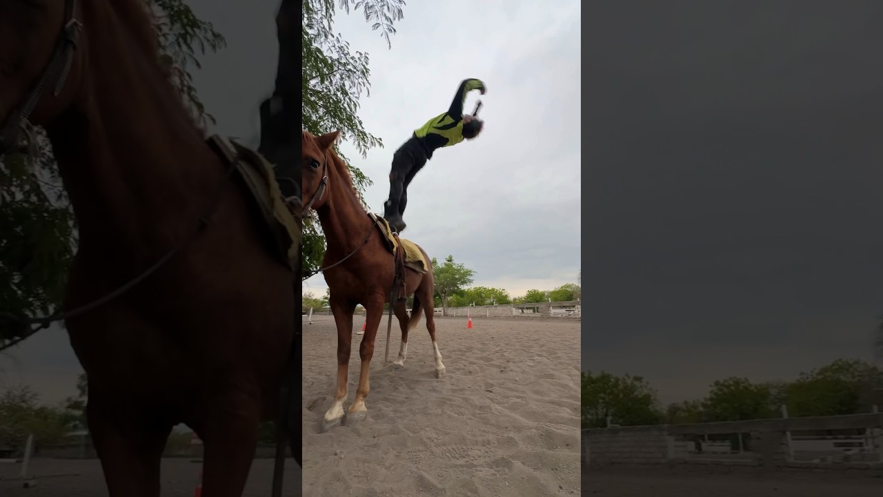 Nunca intentes saltar de un caballo😰😱😵&zwj;💫😭