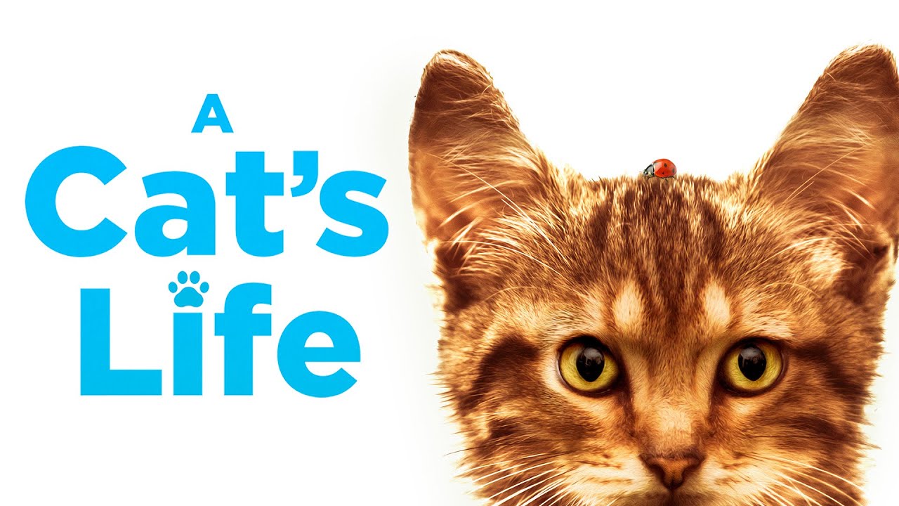 A Cat's Life | Fun Family Adventure Movie | Capucine Sainson-Fabresse |  Corinne Masiero