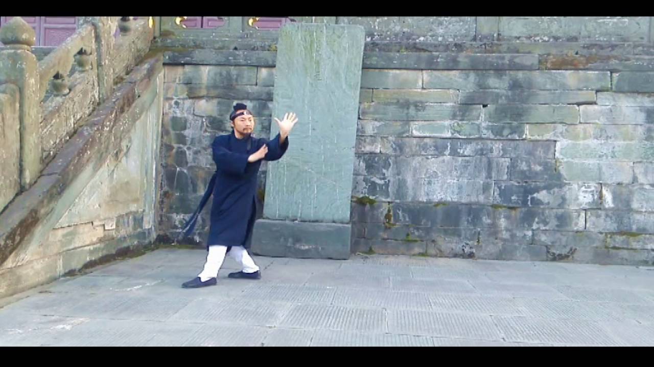 Wu Dang Yin Yang Ba Gua Zhang 武当阴阳八卦掌 Xu Wei Han