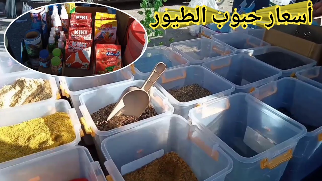 أسعار الحبوب وأغذية الطيور من سوق سطيف للطيور 2021