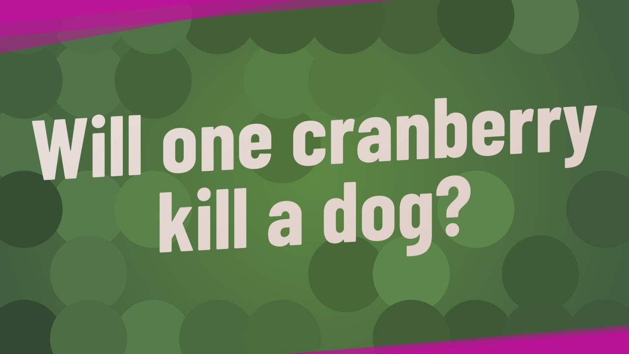 Will one cranberry kill a dog?