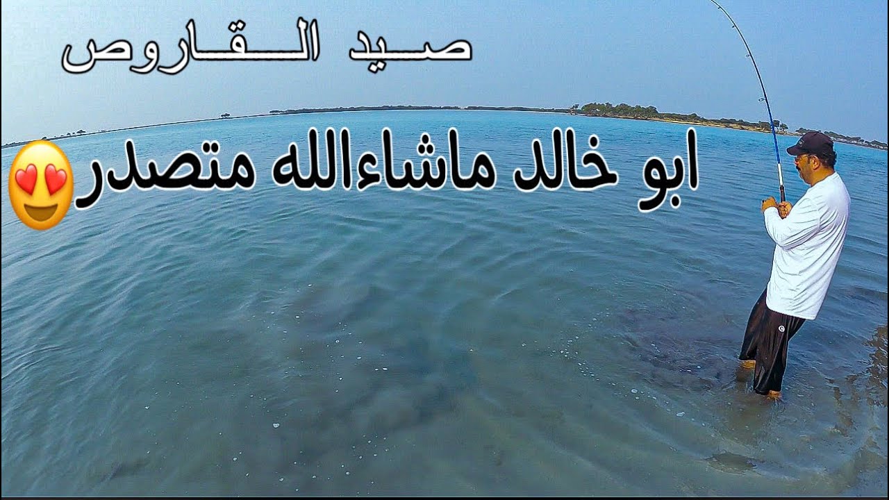 صيد القاروص في بحر القحمة