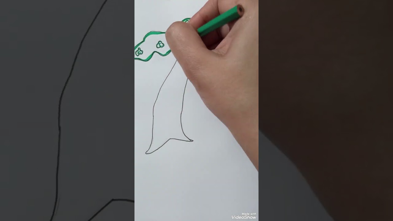 How to draw a tree 🎄