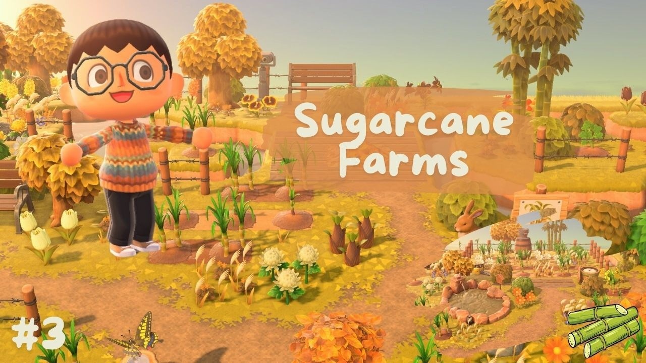 Let's build a SUGARCANE FARM on my Golden Farming Archipelago Island 🎍