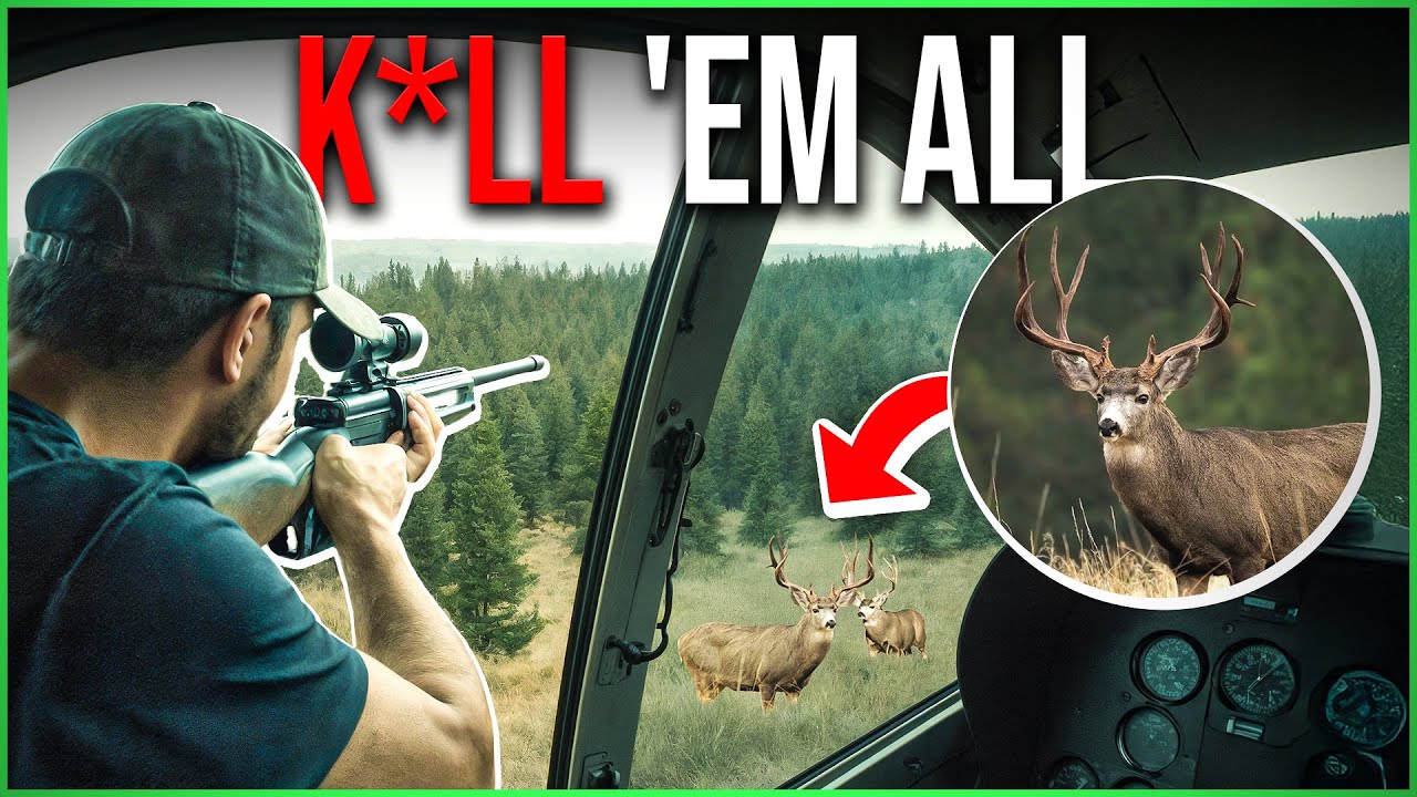 Kill All the Deer on Catalina Island