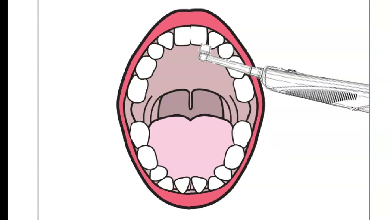 tooth brush test