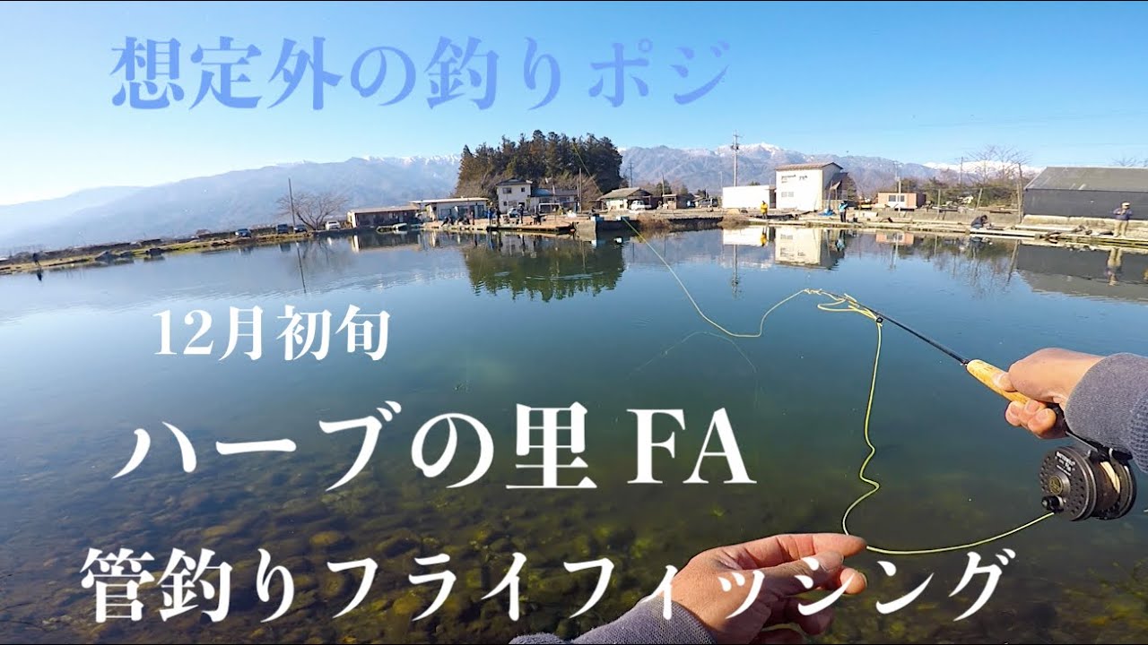 【想定外】ほぼクロスハンドのロールキャストで釣りしてきました【ハーブの里フィッシングエリア】 #管釣りフライ #フライフィッシング #管理釣り場 #フライキャスティング
