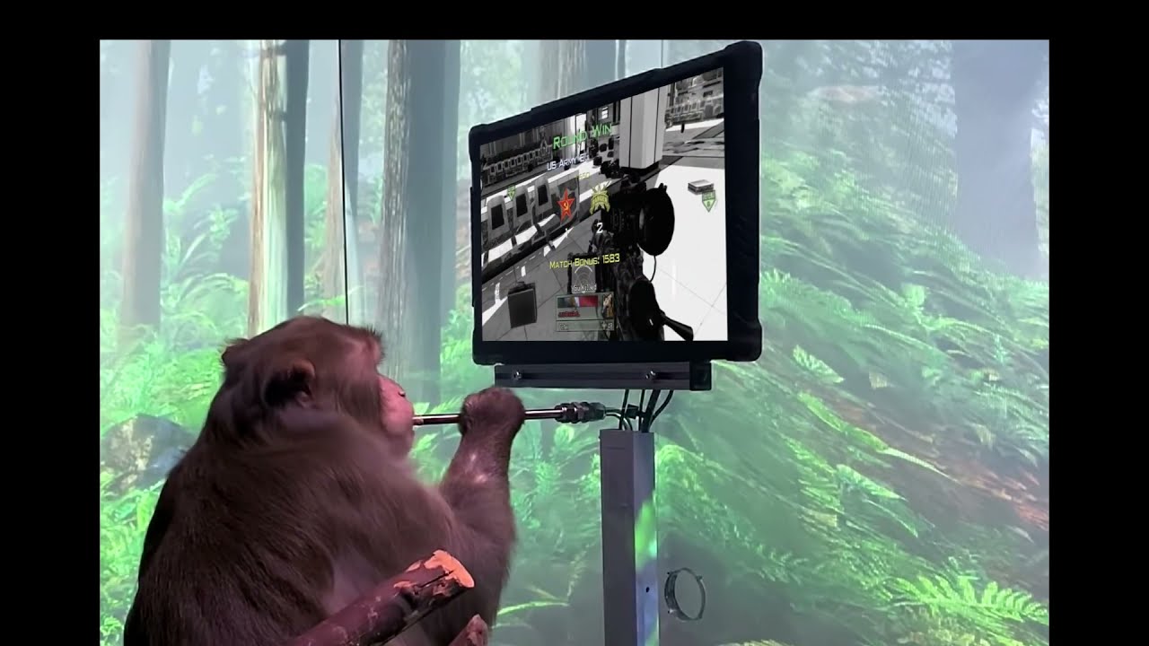 Neuralink monkey hits those