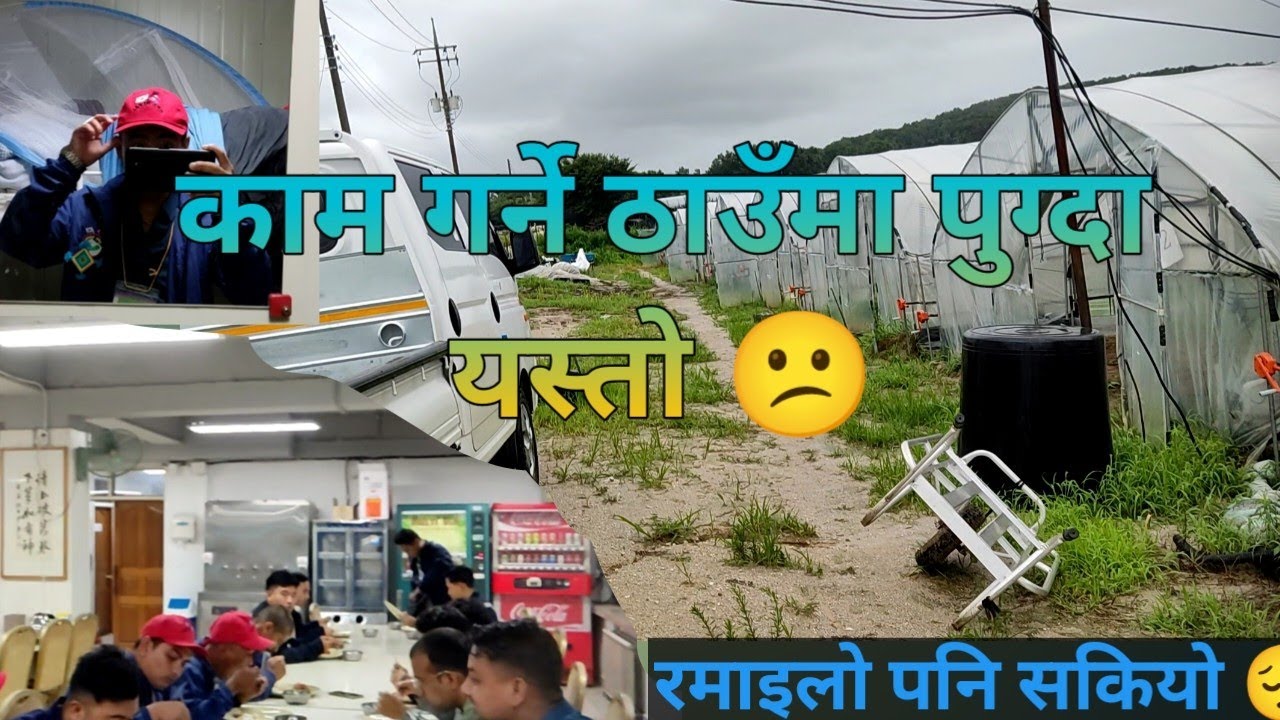 काम गर्ने ठाउँमा पुग्दा यस्तो 😕 || सोचेको भन्दा धेरै फरक 😔|| Keshar Limbu|| Company Tour ||