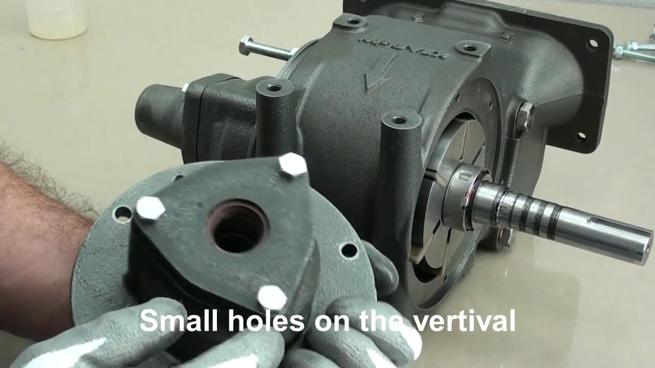 Maintenance for Mouvex CC10 Series Rotary Vane Pump