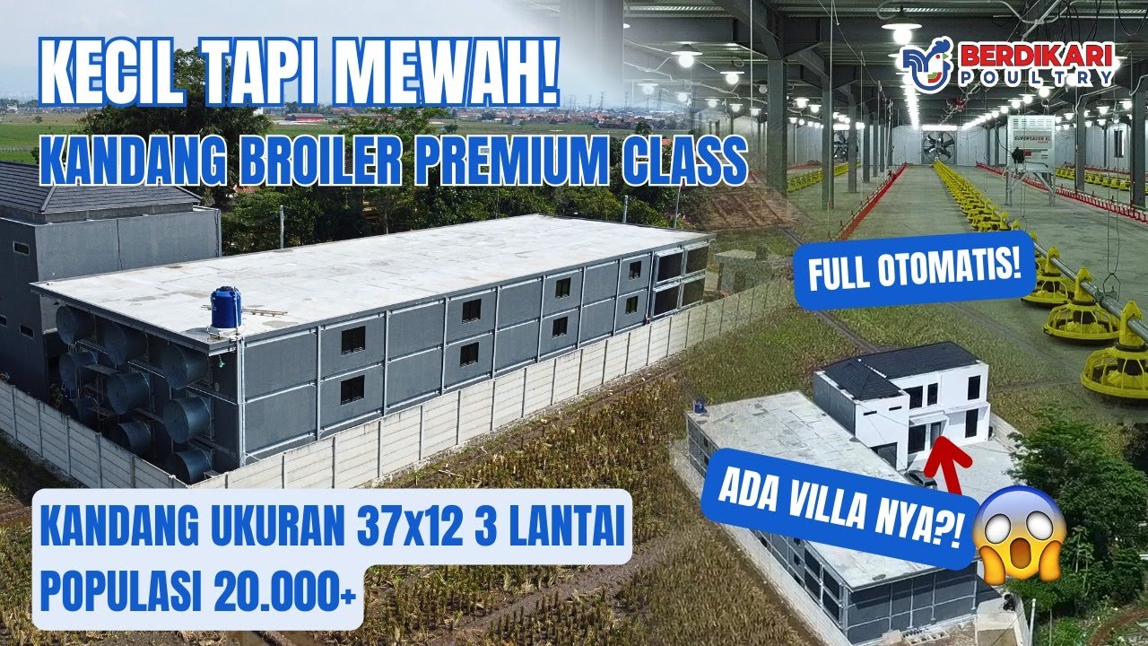 KANDANG AYAM KECIL TERMEWAH !!! ADA VILLA JUGA😱 !!! Kandang Ayam Broiler Closed House Full Otomatis!