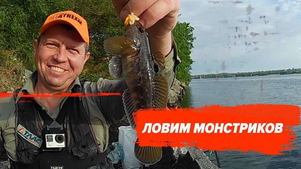 Бычок. Секреты и особенности ловли.