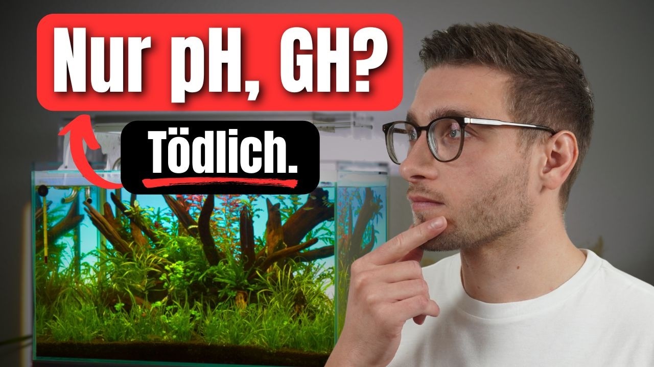 Diese 5 WICHTIGEN Wasserwerte muss JEDER Aquarianer kennen und verstehen!