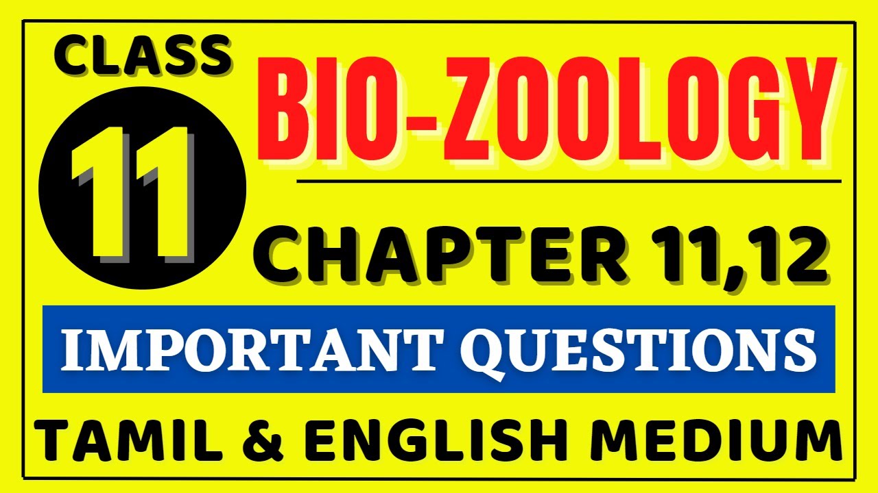 11th Bio Zoology Chapter 11 important Questions | 11th Bio Zoology Chapter 12 important Questions