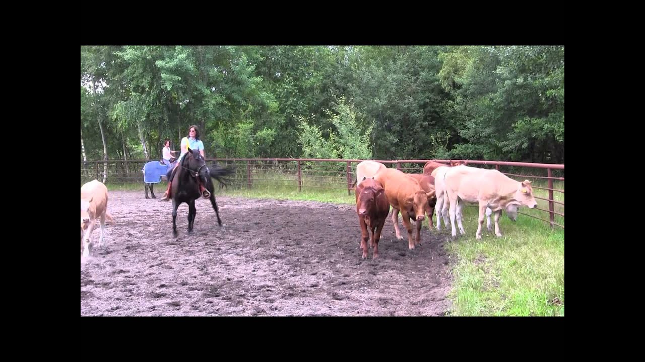 Rinderkurs auf Goting Cliff mit Marina Perner, Juli 2014