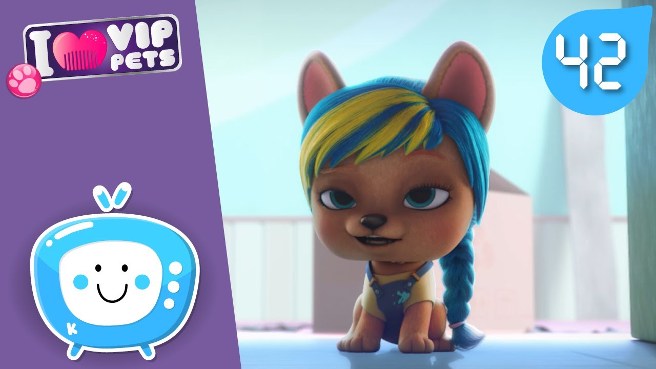 🥰 SĄ WAKACJE 🥰 VIP PETS 🌈 KOLEKCJA ODCINKÓW ✨ Bajki dla DZIECI po POLSKU 📺