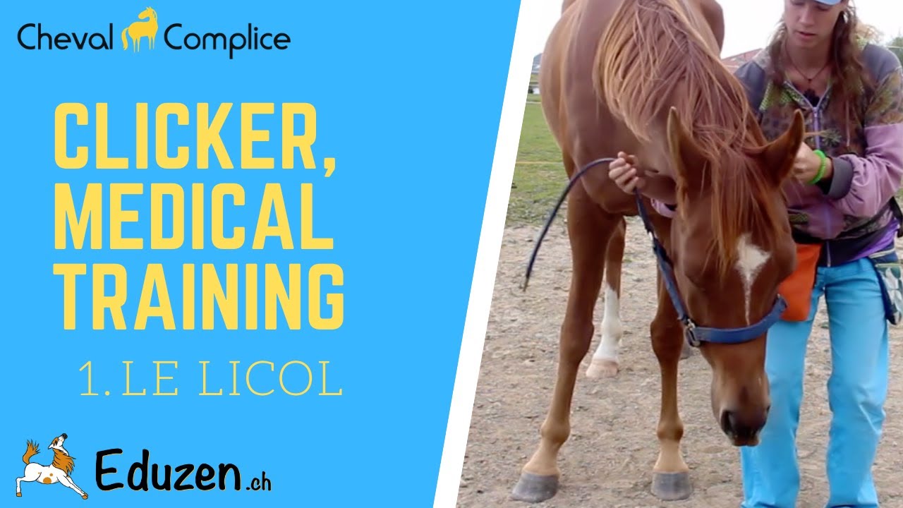 CLICKER CHEVAUX #1 - LE LICOL