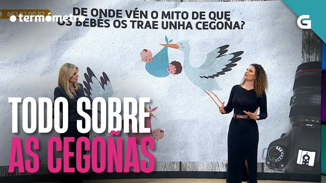 TODO SOBRE AS CEGOÑAS! | O TERMÓMETO