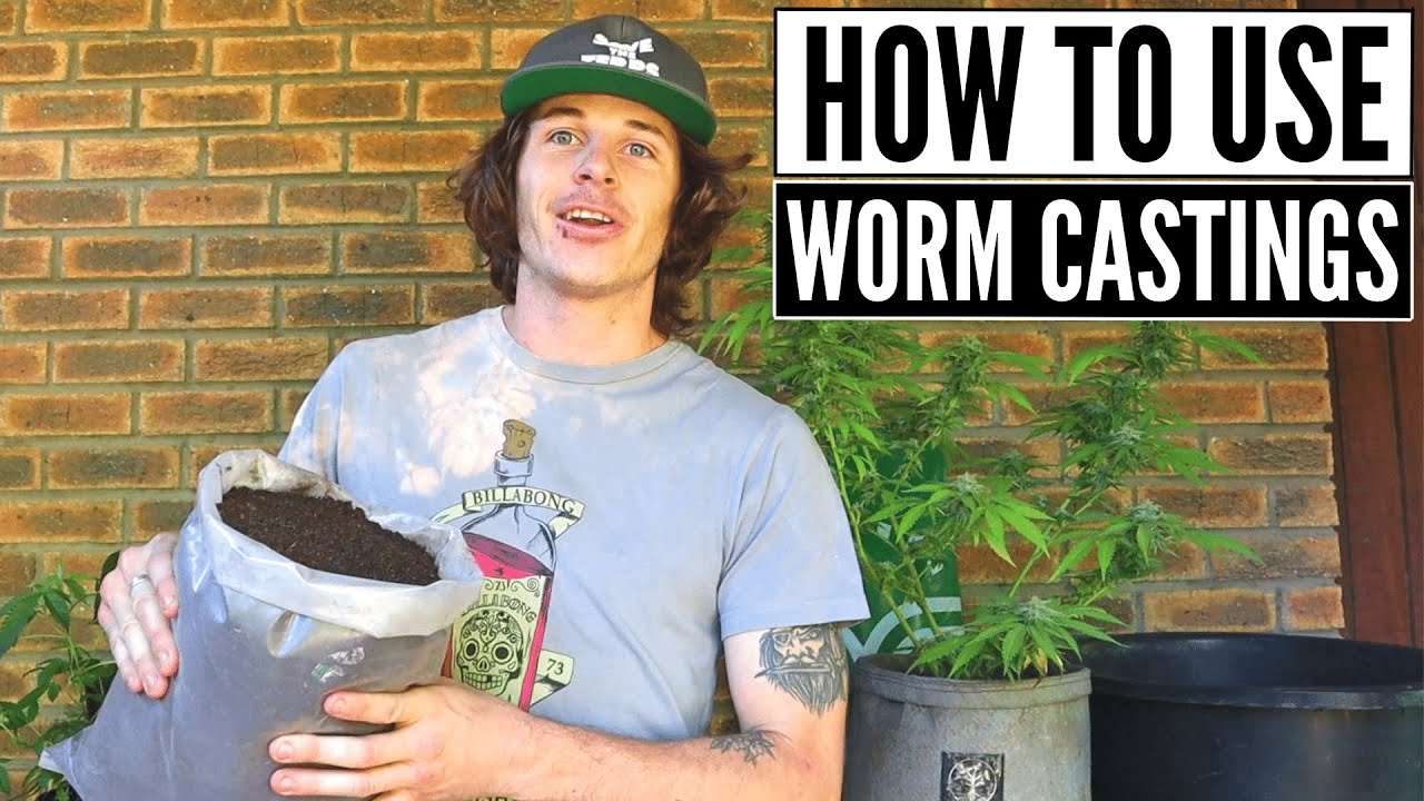 How to use Worm Castings!