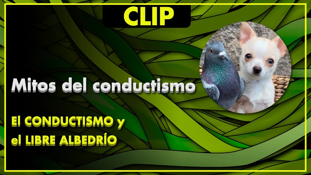 El CONDUCTISMO RADICAL y el LIBRE ALBEDR&Iacute;O - Mitos del Conductismo