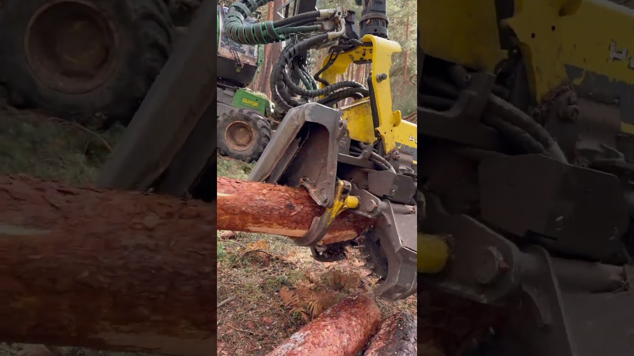 &ldquo;1270G with H425: Precision Forestry, Legacy in Motion&rdquo;🌲 #johndeere #forest #harvester #lumberjack