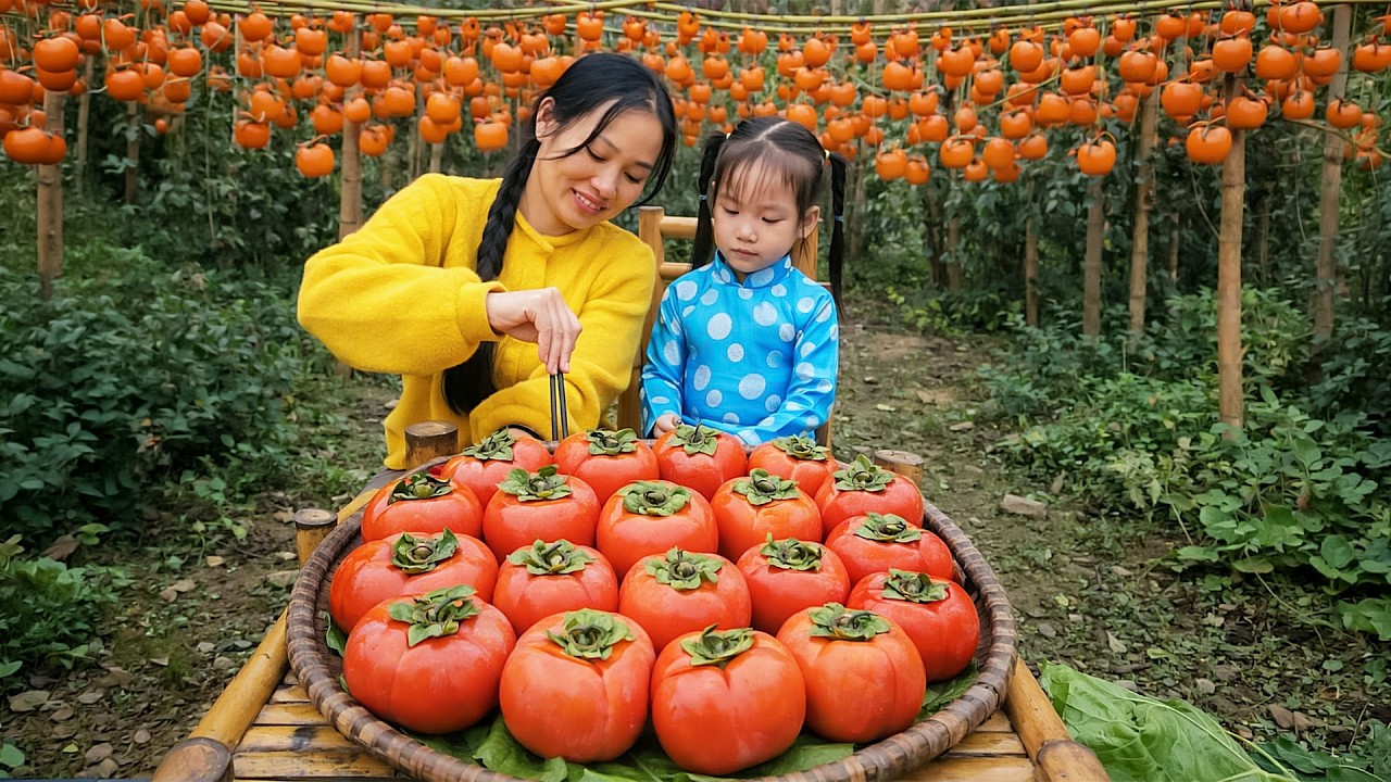 How To Make Dried Persimmons On The Farm – A Specialty Of Northwest Vietnam 🍊