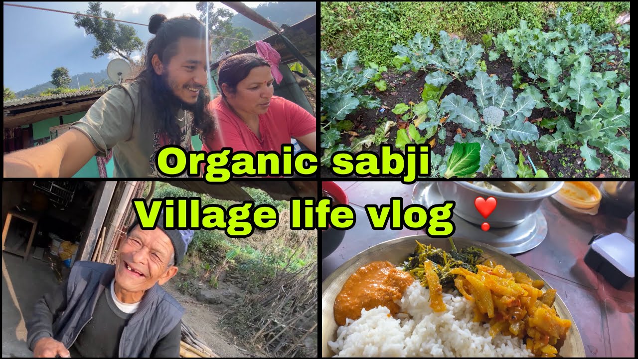 Rural life in sikkim village vlog ❣️