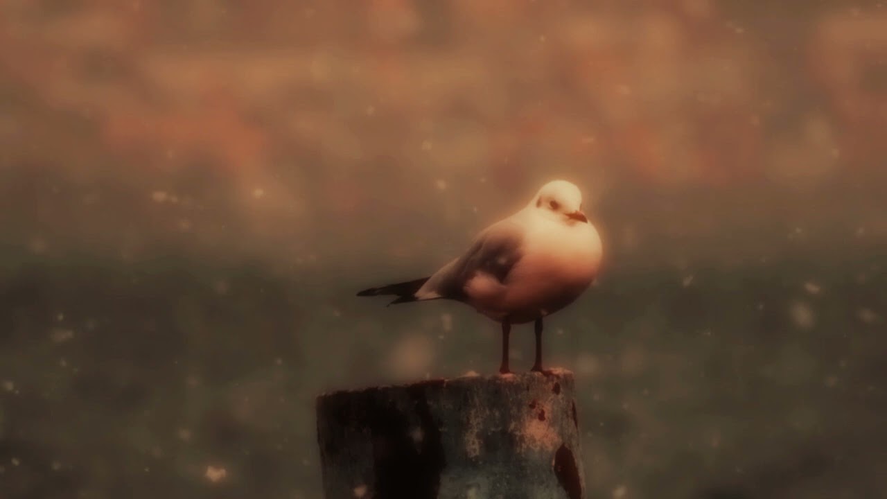 UN JOUR D'HIVER...