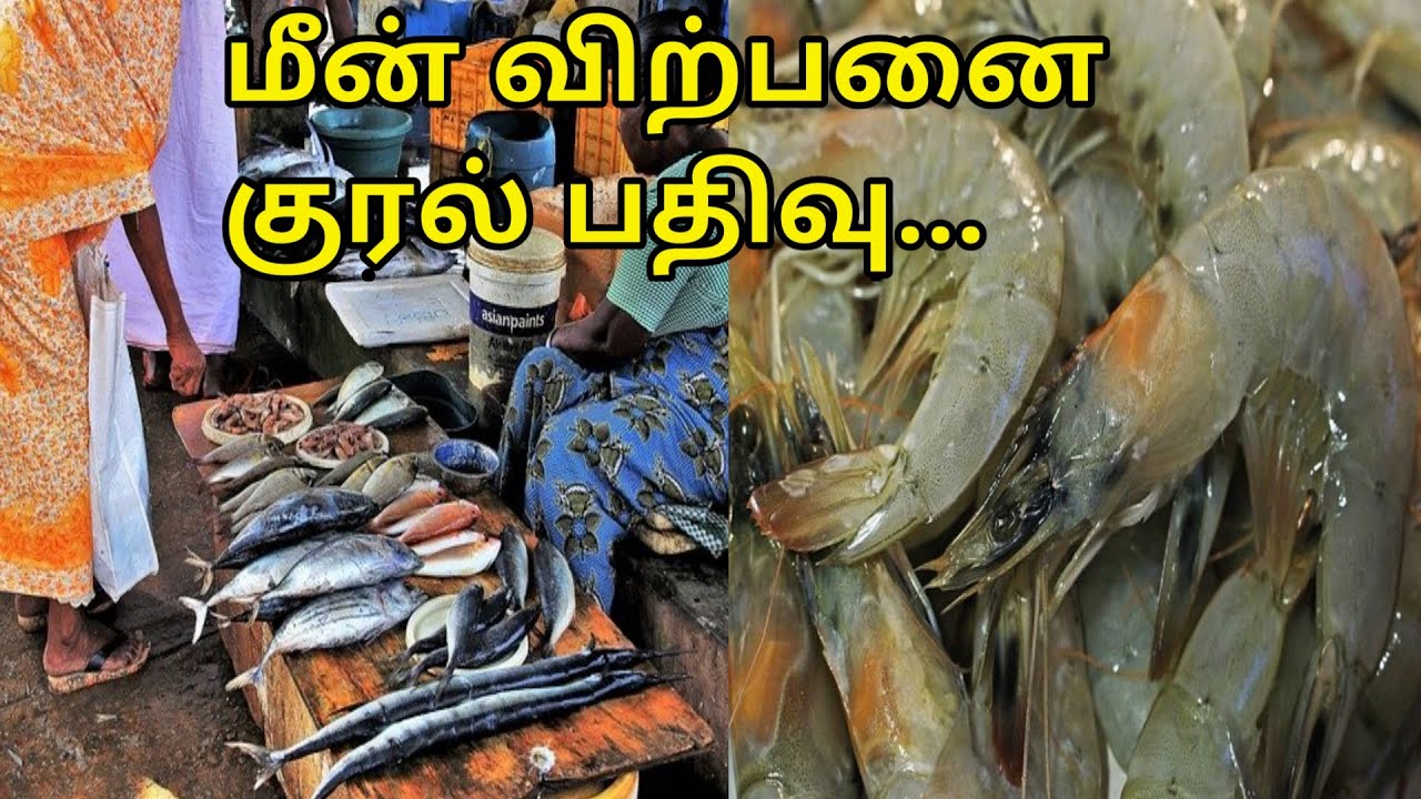 மீன் விற்பனை குரல் பதிவு fish selling voice...