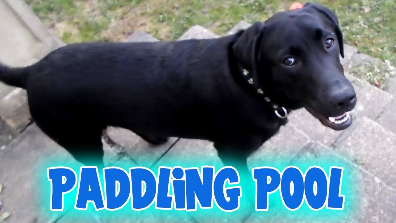 Squiddy Vlogs - Paddling Pool! [17]