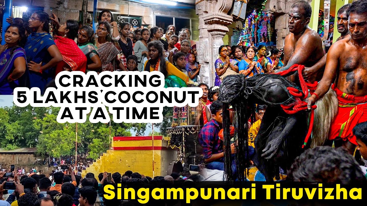 5 லட்சம் தேங்காய் ஒரே நேரத்தில் I சிங்கம்புணரி Thiruvizha I Tastee with Kiruthiga