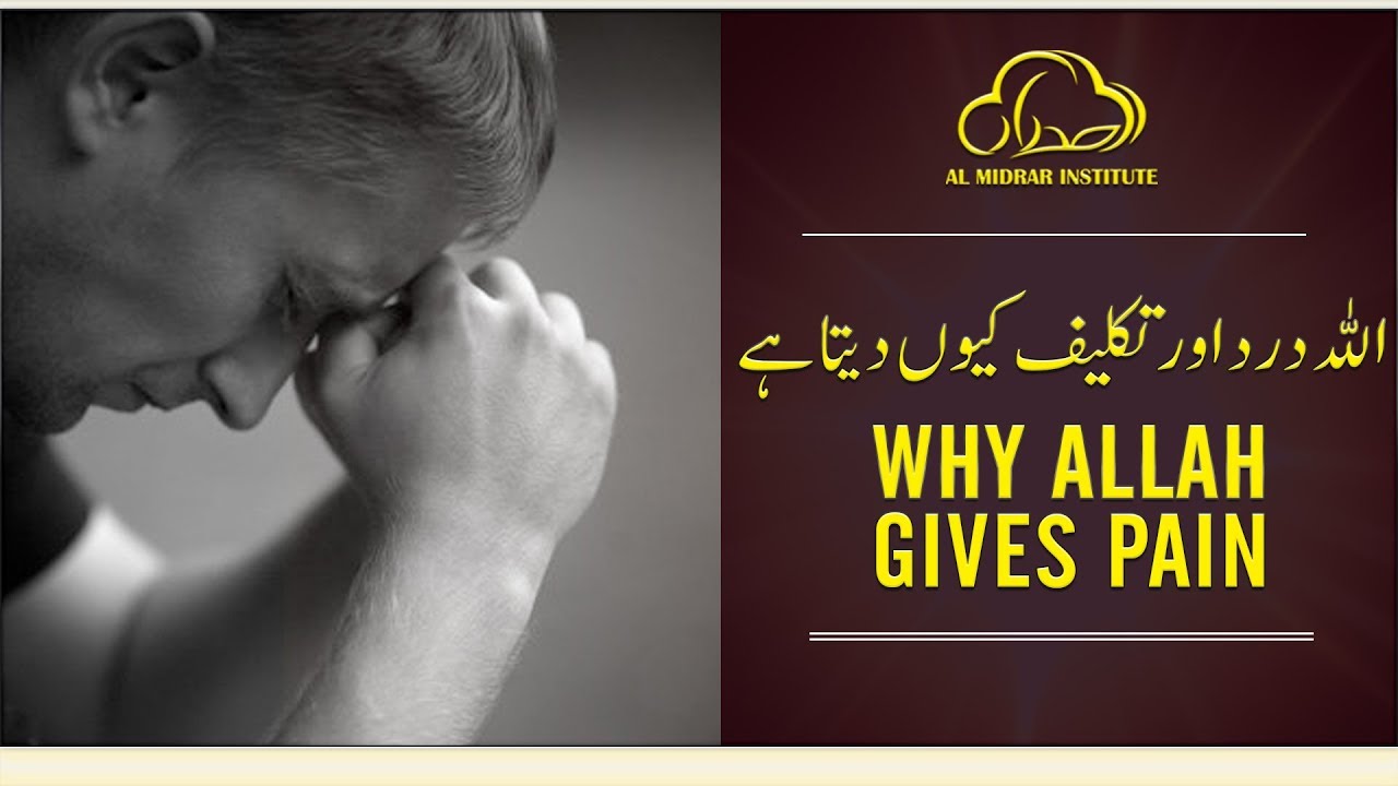 Why Allah Gives Pain by Shaykh Atif Ahmed | Motivational Urdu Reminders