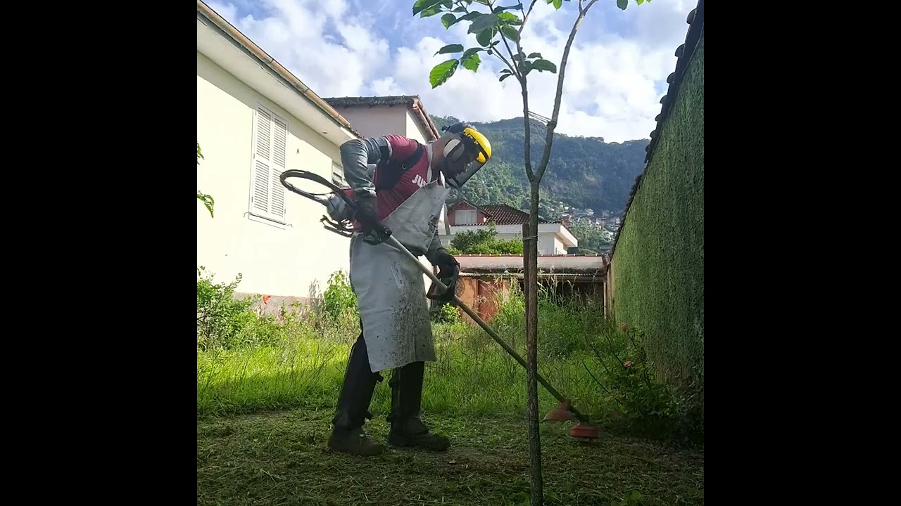 Um novo Jardim @DM-Jardinagem 