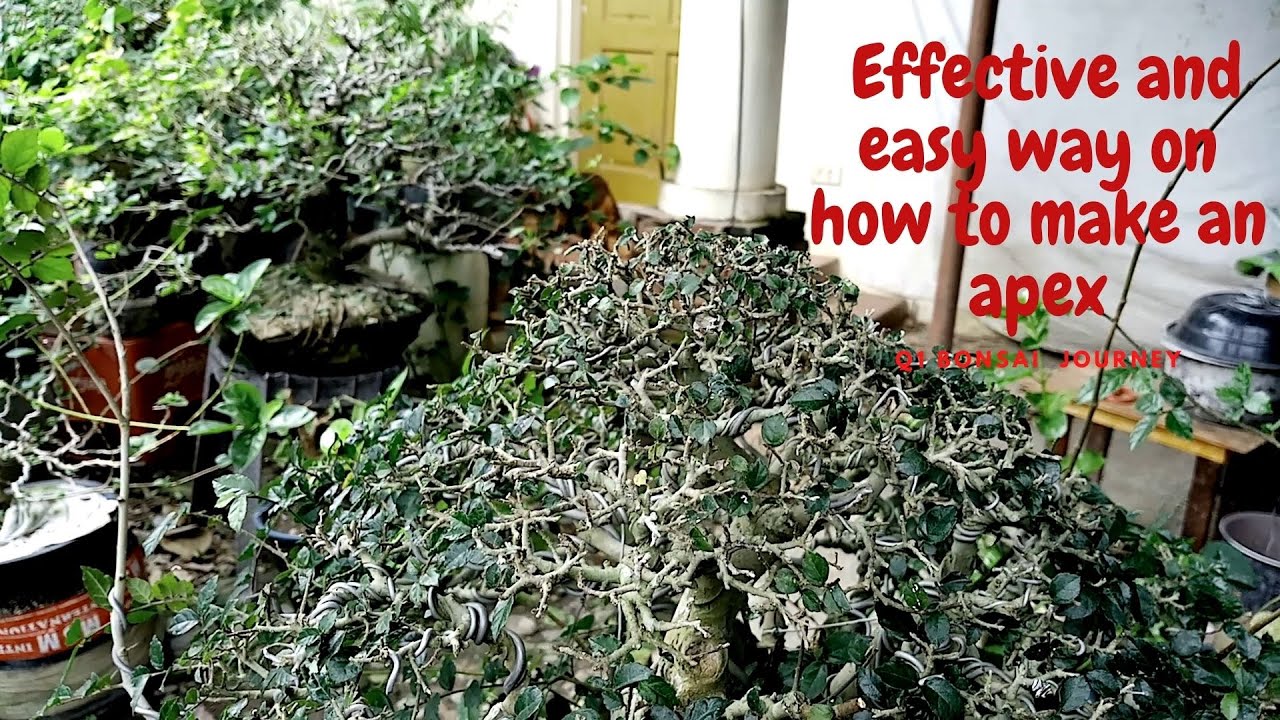 HOW TO MAKE AN APEX / PAANO GUMAWA NG APEX / EFFECTIVE AND EASY WAY ON HOW TO MAKE AN APEX